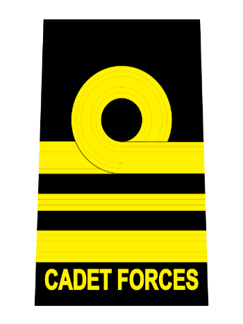 Lieutenant Commander Rank.