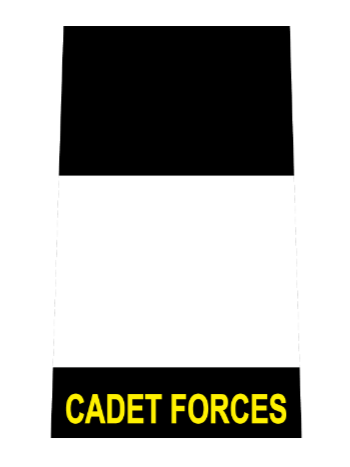 Officer cadet rank.