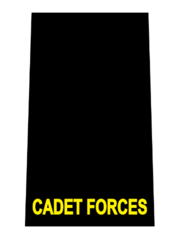 Ordinary cadet rank.